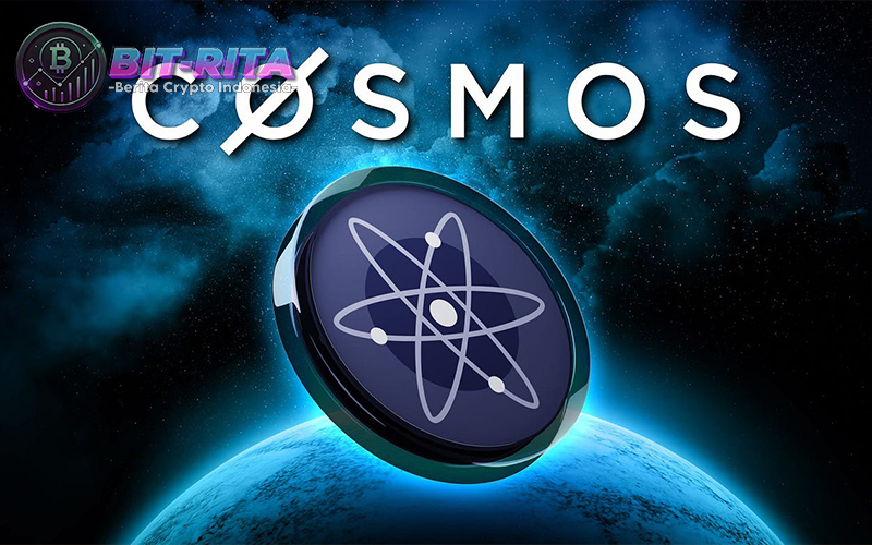 Cosmos