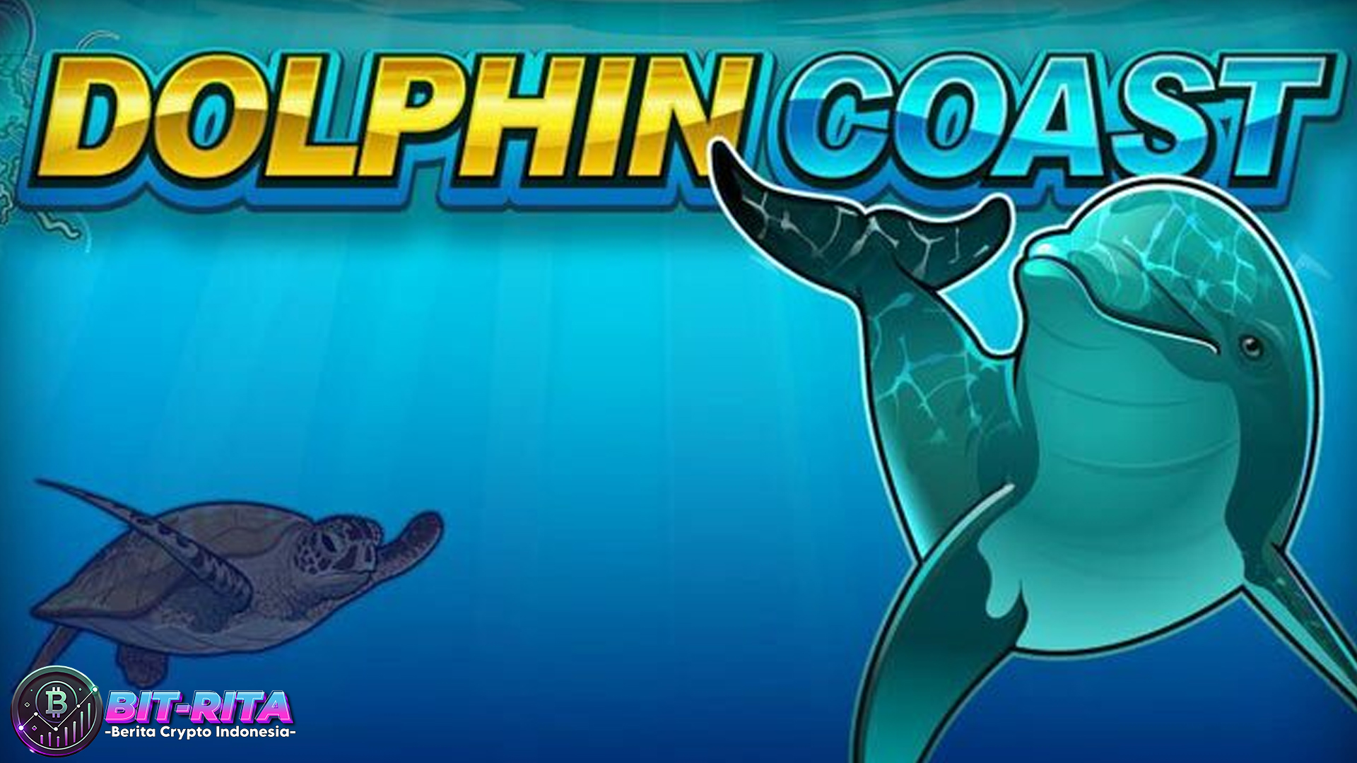 Terungkap Kebenaran di Balik Slot Dolphin Coast yang Bikin Heboh