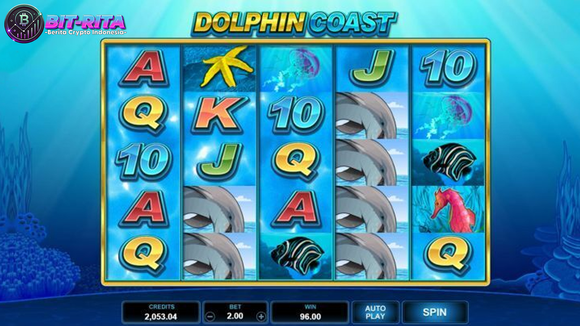 Terungkap Kebenaran di Balik Slot Dolphin Coast yang Bikin Heboh